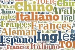 traducción de idiomas profesional en Mercadal
