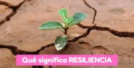 qué significa resiliencia