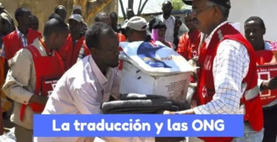 relación entre los traductores y las ONG