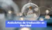 Anécdotas de traducción en Navidad